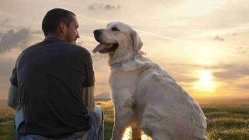Vínculo perro y humano.&nbsp;