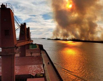 Los fuegos en el Delta del Paraná provocaron la pérdida de flora y fauna y pusieron en peligro la vida y las viviendas de los lugareños