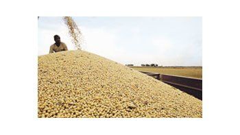 Los productores argentinos se muestran reticentes a desprendersede su mercadería y almacenan volúmenes récord de soja.
