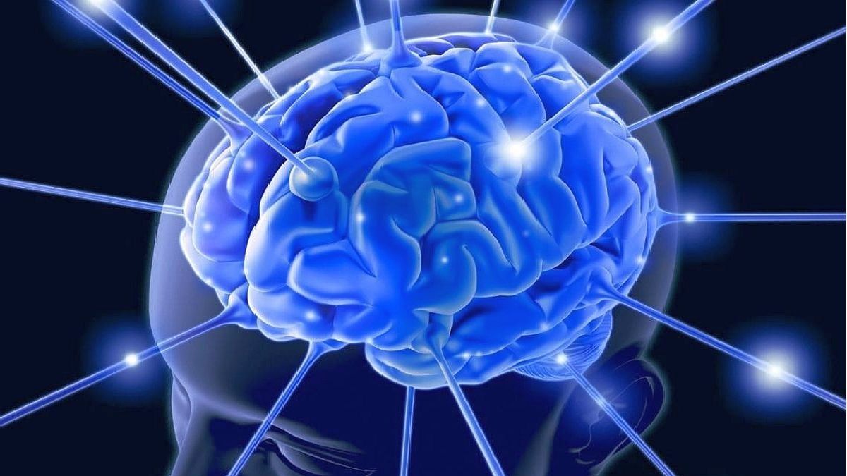 La potencialidad del cerebro: ¿cuánto usamos de verdad?