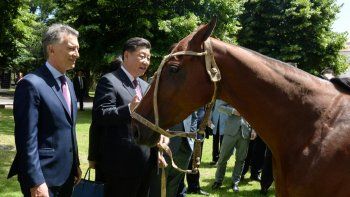 Mauricio Macri y Xi Jinping junto al caballo que Argentina le obsequió a China.