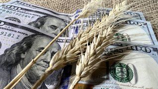 El agro celebró la medida, que mejora el precio para el productor en medio de la suba del precio de los combustibles. El agro celebró la medida, que mejora el precio para el productor en medio de la suba del precio de los combustibles.