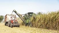 exportaciones. Los ingenios azucareros de Tucumán se mostraron optimista con la devaluación para mejorar la rentabilidad de las exportaciones, con Chile como mercado principal, seguido por Uruguay y Alemania.