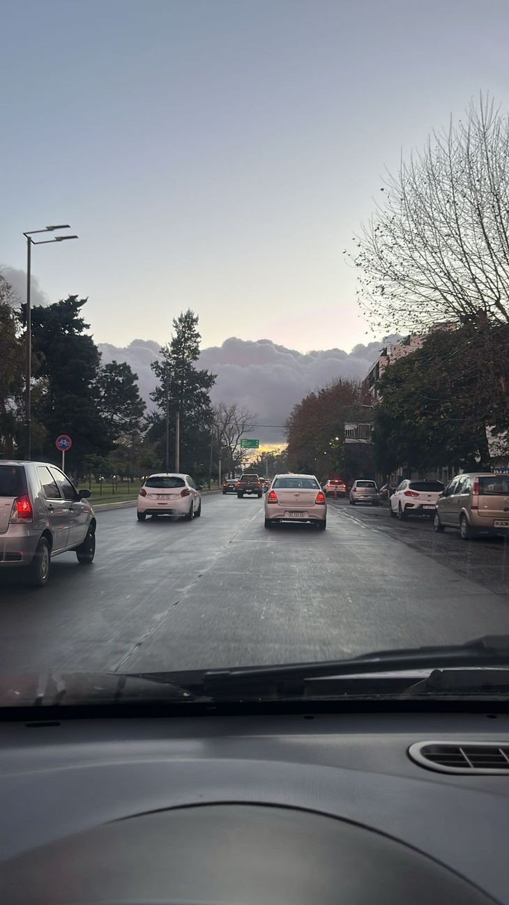 Los vecinos de La Plata se sorprendieron al ver un paisaje inusual en sus recorridos habituales. Los vecinos de La Plata se sorprendieron al ver un paisaje inusual en sus recorridos habituales.