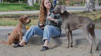 Amy Adams protagoniza esta película de Disney donde una madre enfrenta una transformación física y emocional que desdibuja los límites entre lo humano y lo salvaje.