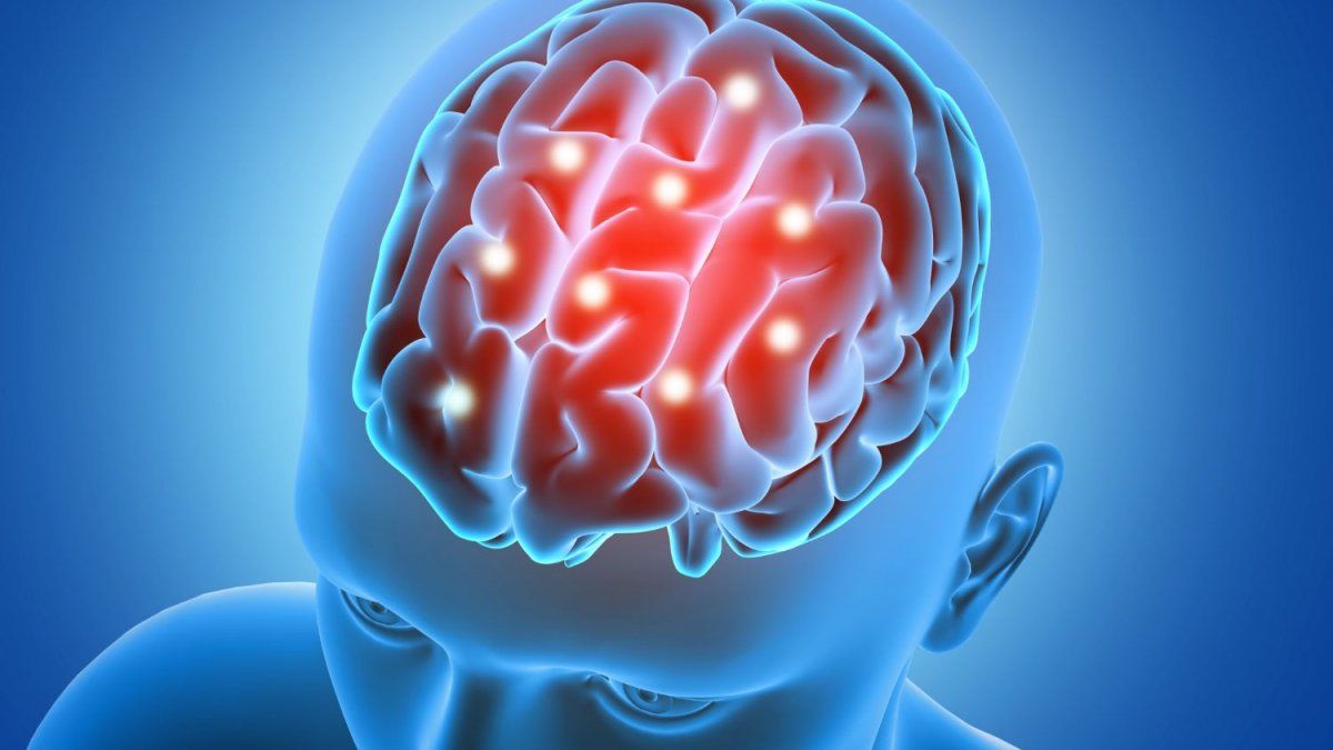 Harvard: eating this food every day improves memory and takes care of your brain