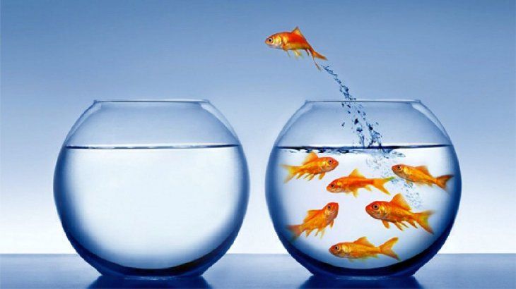 Inversiones arriesgadas Inversores Status quo.jpg