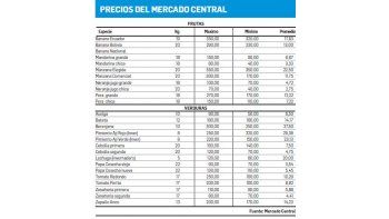 ¿Soja de primera o maíz temprano?