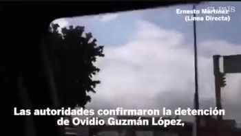 mexico: para proteger vidas, liberan al hijo de el chapo guzman tras breve detencion