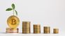 Cryptocurrencies are positioned as a sustainable investment alternative to the problem of the use of oil-based resources. 