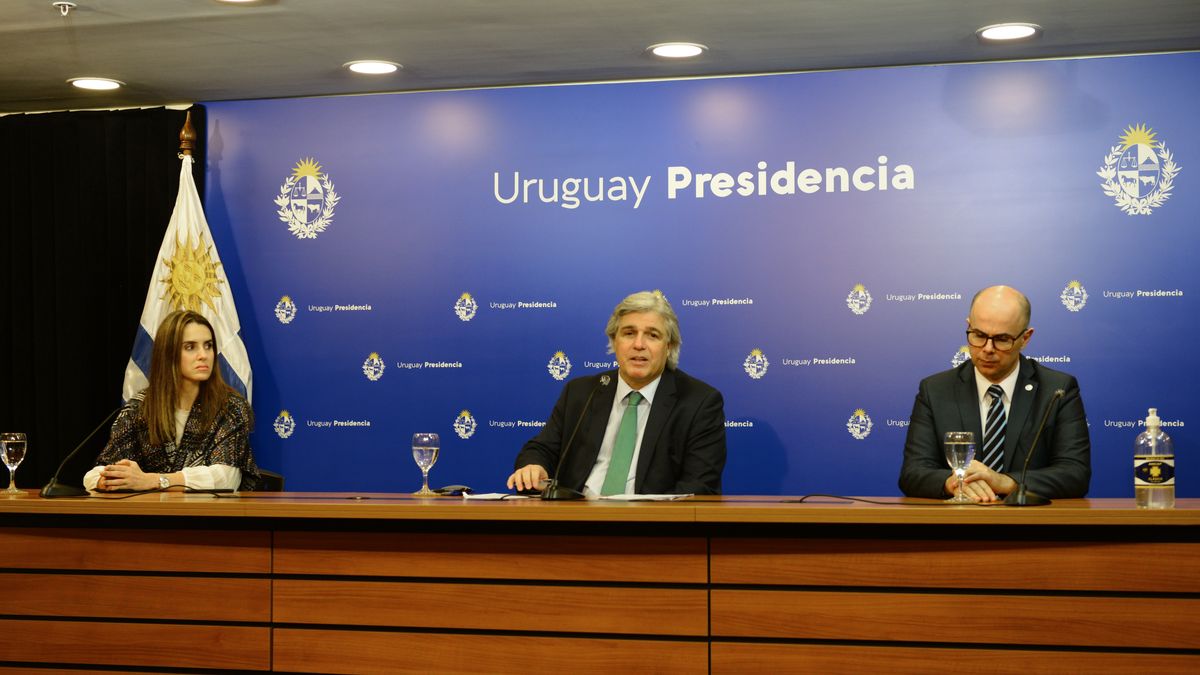 The new chancellor was appointed by Carolina Ache in the audios