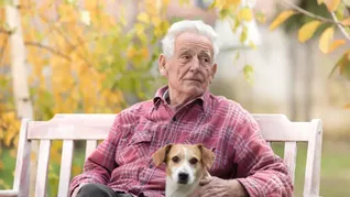 Estudios científicos destacan el impacto positivo de las mascotas en la calidad de vida. Estudios científicos destacan el impacto positivo de las mascotas en la calidad de vida.