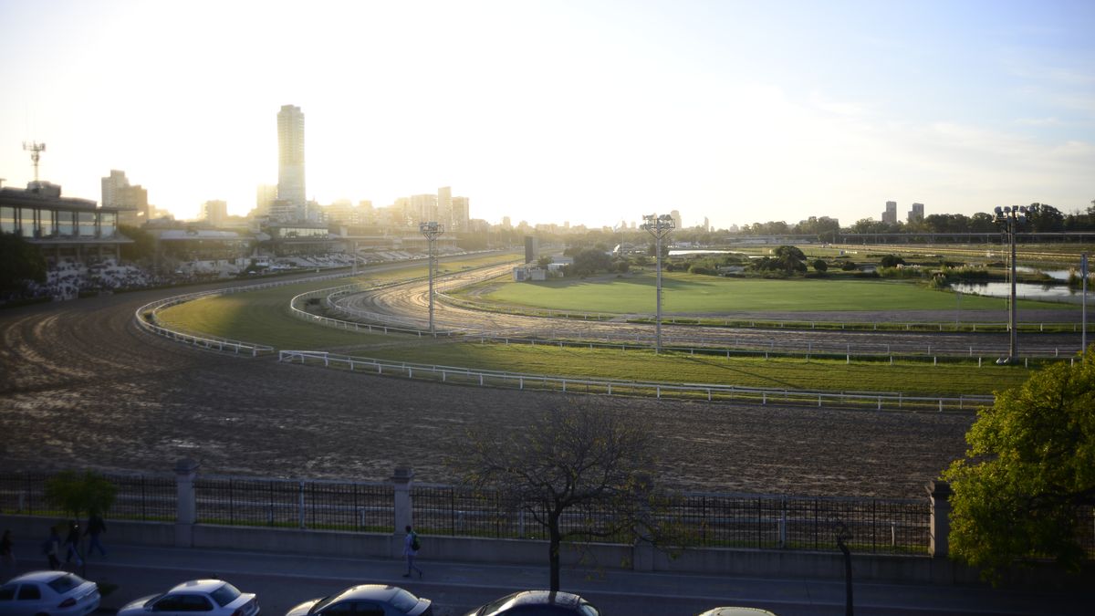 Palermo dresses up to party: the National Grand Prix is ​​held and there will be activities for the whole family