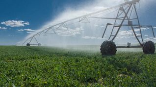 El gobierno continúa poniendo el foco en el riego para fomentar la producción. El gobierno continúa poniendo el foco en el riego para fomentar la producción.
