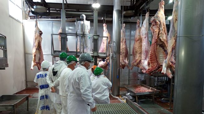 China demanda mayor carne uruguaya, mientras que los productores apuntan al mercado estadounidense. 