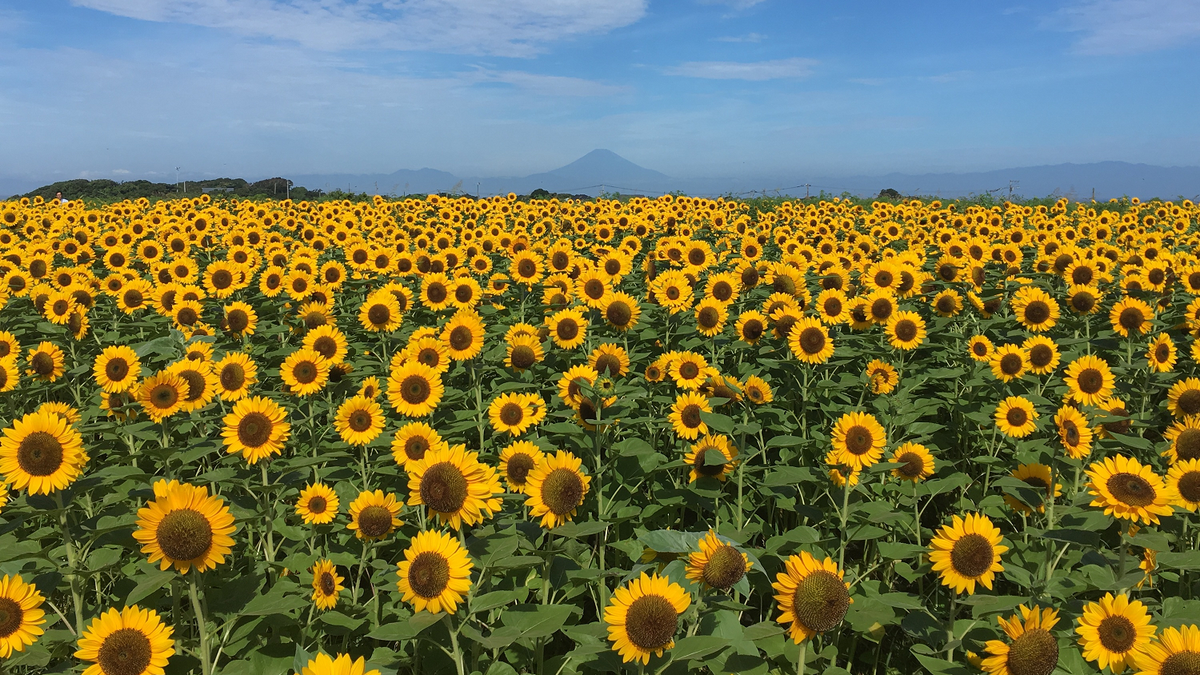 Getaways to enjoy landscapes and stories: two country destinations that offer tranquility