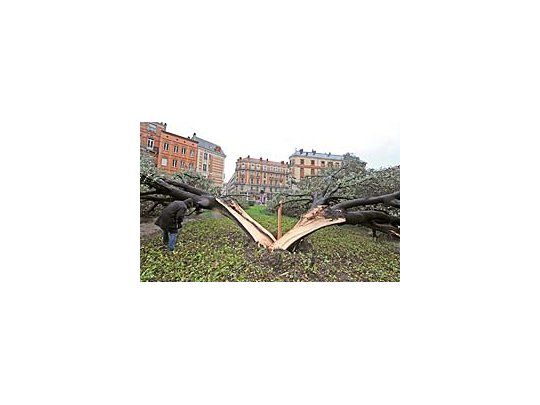 Un árbol destrozado en Toulouse, como consecuencia de las fuertes tormentas que se registran en España e Italia.