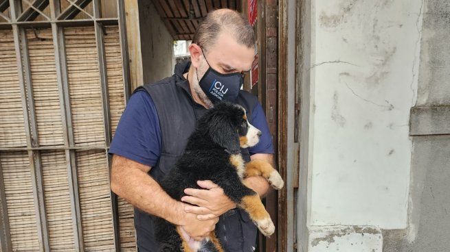 Rescate de perro.jpg