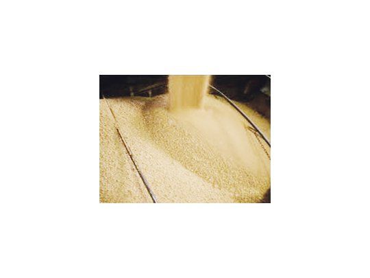Estados Unidos, un tradicional exportador de harina de soja, podría importar el producto en los próximos meses.