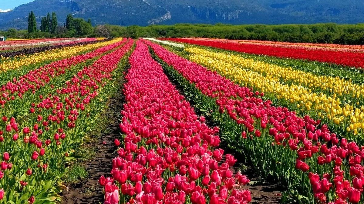 Tourism: these are the best towns to visit and explore