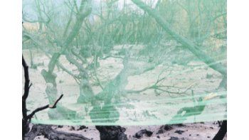 ámbito.com | Una de las fotografías de “El bosque encendido”, la muestra en la que Olga Autunno refleja su conmoción por el siniestro forestal más importante de la historia de nuestro país desatado a principios de 2015 en el valle del Lago Cholila y en el Parque Nacio