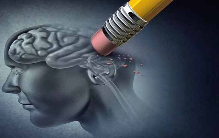 Los científicos de Harvard encontraron el secreto para prevenir el Alzhaimer