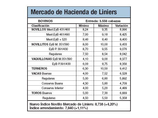 Bajas del 0,5% en los terneros