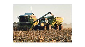 El rendimiento promedio del cereal se encuentra en 9,44 toneladas por hectárea.