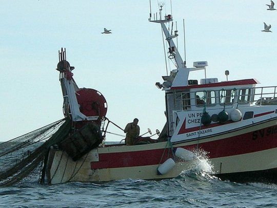 La industria pesquera denunci&oacute; la violaci&oacute;n del&nbsp;Zona Econ&oacute;mica Exclusiva Argentina&nbsp;(ZEEA)