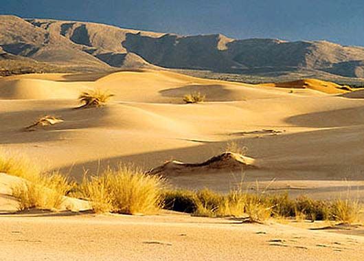 El desierto del Kalahari (Botsuana, Namibia y Sudáfrica)