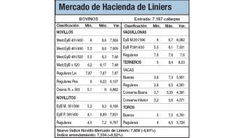 Novillos treparon entre el 1% y el 2,5%