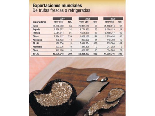 SU DINERO PERSONAL: hongo negro y caro busca paladar