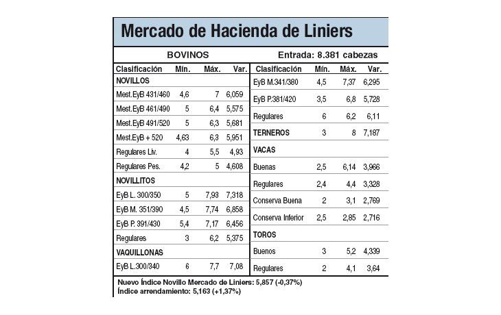 El stock hizo caer al novillo