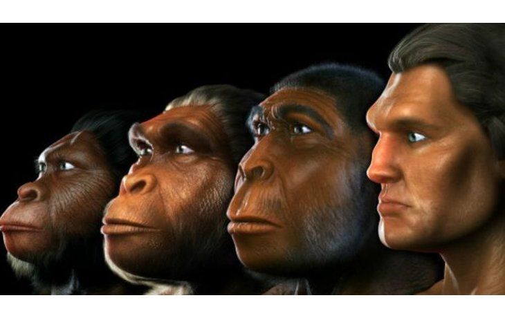 El equipo catalogó las diferencias entre los genomas de diversas poblaciones humanas modernas y los neandertales y denisovanos, que vivieron en el Pleistoceno, hace aproximadamente entre 2.6 millones y 11 mil 700 años.