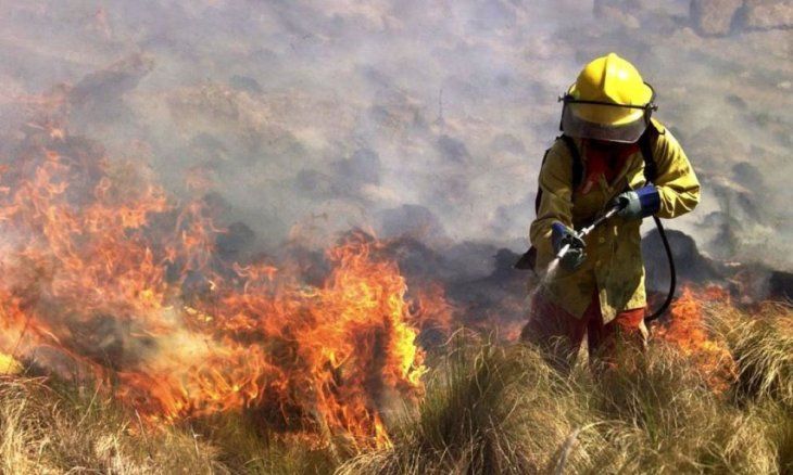 Some 600 firefighters, supported by seven water-dropping planes and six helicopters, are working to combat the fire. Some 600 firefighters, supported by seven water-dropping planes and six helicopters, are working to combat the fire.