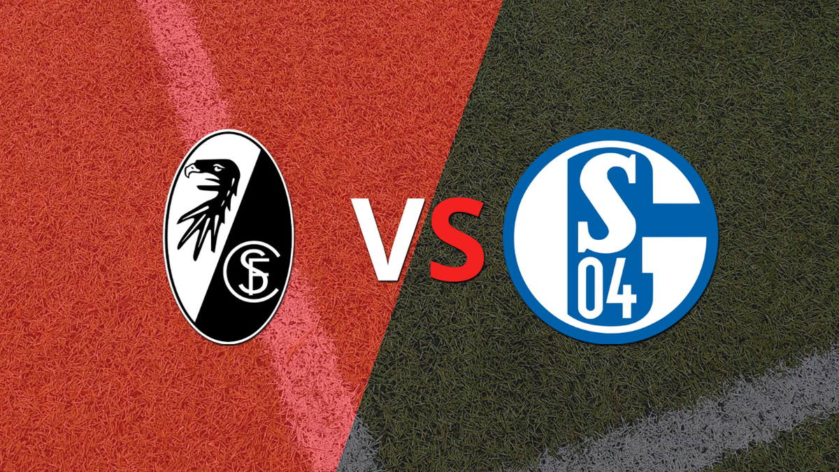With two scores, Freiburg beat Schalke 04 With two scores, Freiburg beat Schalke 04