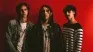 Mujer Cebra encabeza la primera edición de Alerta Rock!