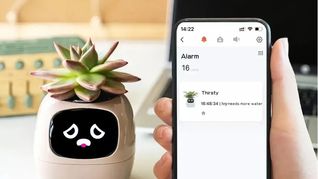 Smart Plant Ivy combina inteligencia artificial y diseño para que millones descubran una nueva forma de comunicarse con sus plantas.