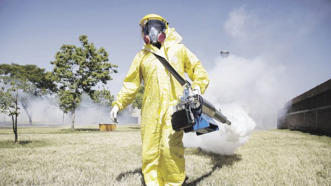 Situación. Piden reforzar la limpieza y desinfección para evitar la propagación del mosquito.