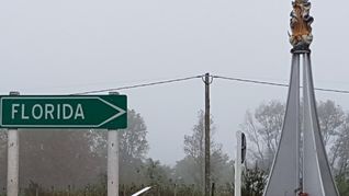 Florida busca dejar atrás el cierre de la tabacalera con una fuerte apuesta al sector logístico e industrial. Florida busca dejar atrás el cierre de la tabacalera con una fuerte apuesta al sector logístico e industrial.