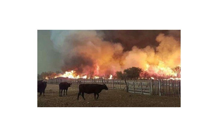 Incendios forestales: en Mendoza y La Pampa se quemaron más de 230 mil hectáreas de campos