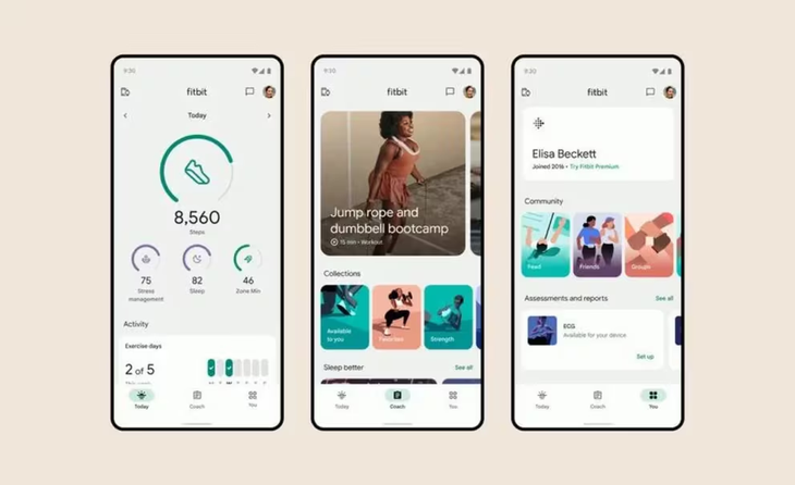 Fitbit: el chatbot de Google. Fitbit: el chatbot de Google.
