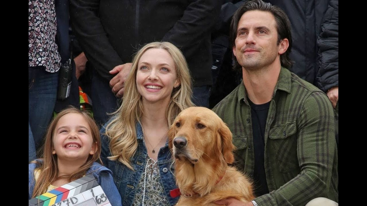 Una película de Netflix ideal para los amantes de los animales y los dramas emocionantes.