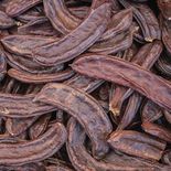 La algarroba cuenta con propiedades beneficiosas especialmente para el intestino. La algarroba cuenta con propiedades beneficiosas especialmente para el intestino.