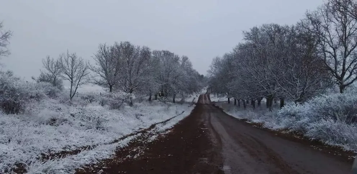 En Salta nev&oacute; luego de 15 a&ntilde;os.&nbsp;&nbsp;