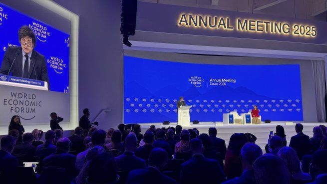 El discurso de Javier Milei en Davos despertó críticas y elogios.