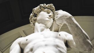 david. Según la layenda, a Leonardo no le gustó la obra de Miguel Ángel.