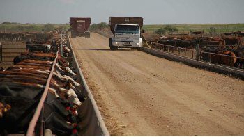 Hubo fuerte interés de los compradores y subió la hacienda