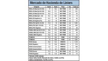 Índice Novillo subió fuerte otra vez: 5,7%