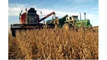 La soja cayó 1,8% a u$s 500,83